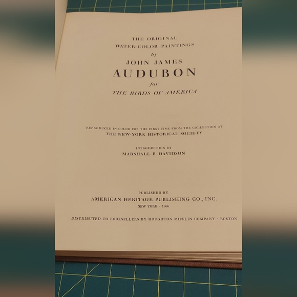 Fish Hawk or Osprey print by John James Audubon - Picture 2 of 3